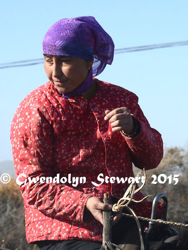 Shepherd on the Road, Xinjiang, China, Photographed by Gwendolyn Stewart, c. 2015; All Rights Reserved
